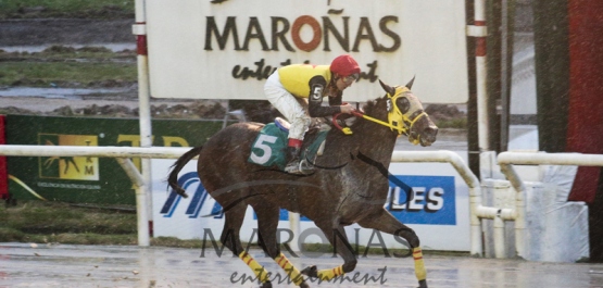 Sábado 27 de Agosto de 2016 - Hipódromo Nacional de Maroñas