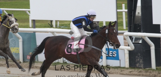 Domingo 28 de Agosto de 2016 - Hipódromo Las Piedras