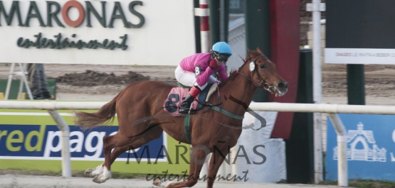 Gran Premio Polla de Potrancas