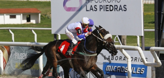 Domingo 11 de Setiembre de 2016 - Hipódromo Las Piedras