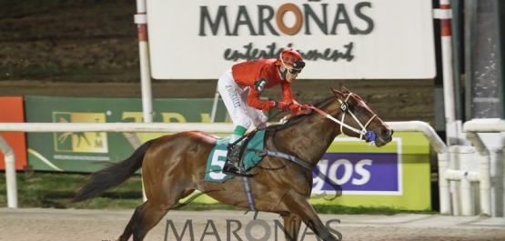 Viernes 16 de Setiembre de 2016 - Hipódromo Nacional de Maroñas