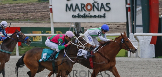 Sábado 17 de Setiembre de 2016 - Hipódromo Nacional de Maroñas