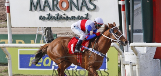 Handicap Especial Antonio Araújo