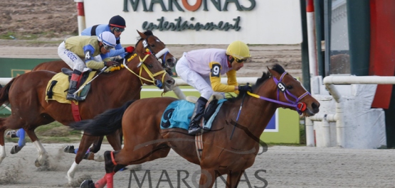 Sábado 24 de Setiembre de 2016 - Hipódromo Nacional de Maroñas