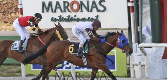 Sábado 1º de Octubre de 2016 - Hipódromo Nacional de Maroñas