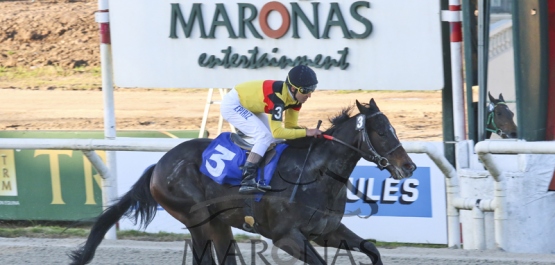 Sábado 8 de Octubre de 2016 - Hipódromo Nacional de Maroñas