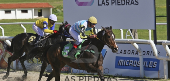 Domingo 9 de Octubre de 2016 - Hipódromo Las Piedras