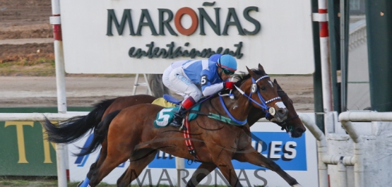 Viernes 14 de Octubre de 2016 - Hipódromo Nacional de Maroñas