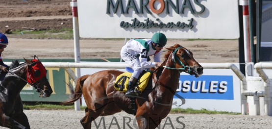 Domingo 16 de Octubre de 2016 - Hipódromo Nacional de Maroñas