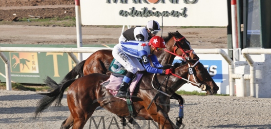 HANDICAP ESPECIAL ADOLFO ARTAGAVEYTIA