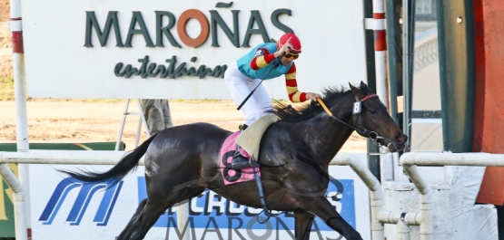 Viernes 21 de Octubre de 2016 - Hipódromo Nacional de Maroñas