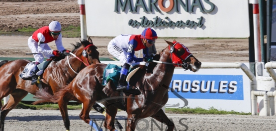 Sábado 22 de Octubre de 2016 - Hipódromo Nacional de Maroñas