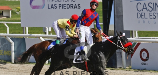 Domingo 23 de Octubre de 2016 - Hipódromo Nacional de Maroñas