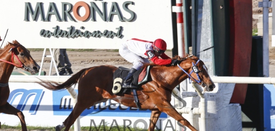 Sábado 29 de Octubre de 2016 - Hipódromo Nacional de Maroñas