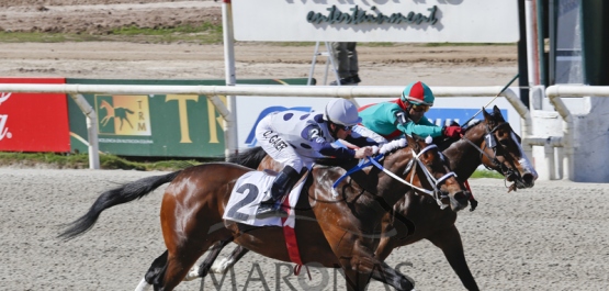 Domingo 30 de Octubre de 2016 - Hipódromo Nacional de Maroñas