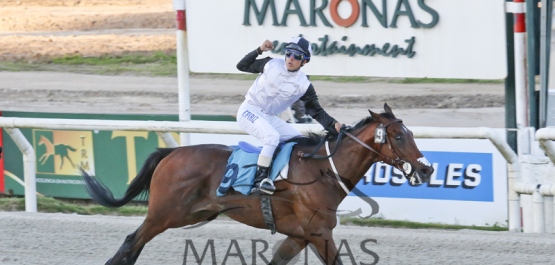 Sábado 5 de Noviembre de 2016 - Hipódromo Nacional de Maroñas