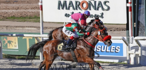 Domingo 6 de Noviembre de 2016 - Hipódromo Nacional de Maroñas