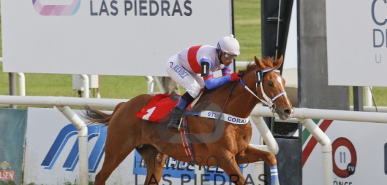 Domingo 13 de Noviembre de 2016 - Hipódromo Las Piedras