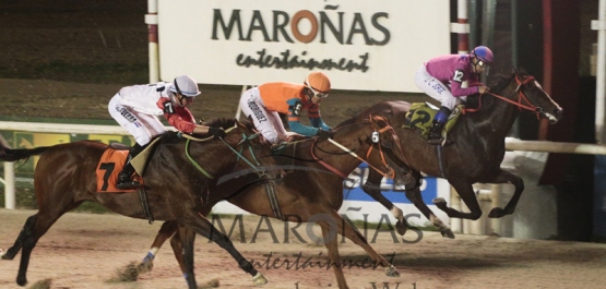 Viernes 18 de Noviembre de 2016 - Hipódromo Nacional de Maroñas