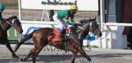 Sábado 19 de Noviembre de 2016 - Hipódromo Nacional de Maroñas