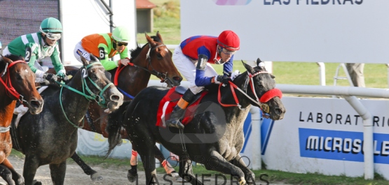 Domingo 27 de Noviembre de 2016 - Hipódromo Las Piedras