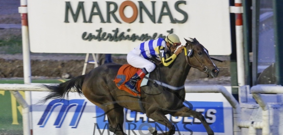 Viernes 2 de Diciembre de 2016 - Hipódromo Nacional de Maroñas