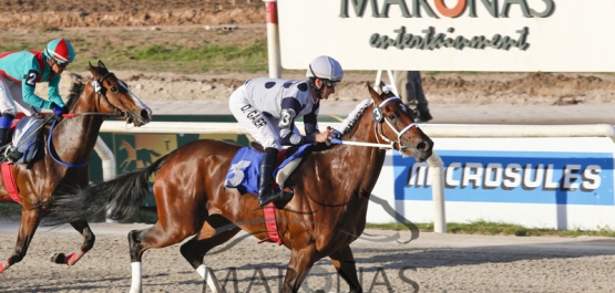 Viernes 9 de diciembre de 2016 - Hipódromo Nacional de Maroñas