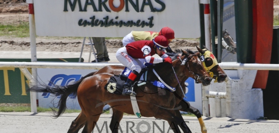 Sábado 10 de diciembre de 2016 - Hipódromo Nacional de Maroñas