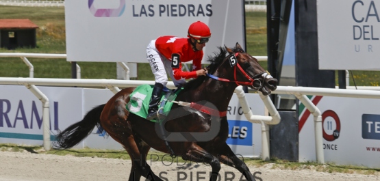 Domingo 11 de diciembre de 2016 - Hipódromo Las Piedras