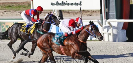 Viernes 16 de diciembre de 2016 - Hipódromo Nacional de Maroñas