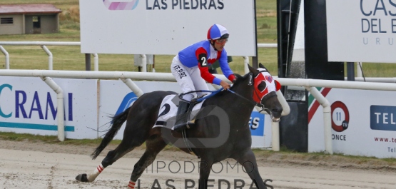 Domingo 18 de diciembre de 2016 - Hipódromo Las Piedras