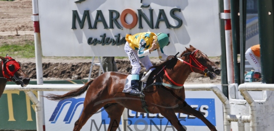 Sábado 3 de diciembre de 2016 - Hipódromo Nacional de Maroñas