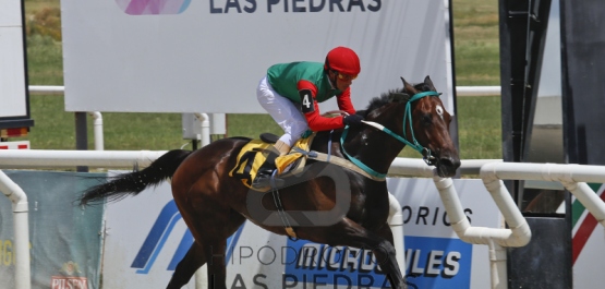 Domingo 4 de diciembre de 2016 - Hipódromo Las Piedras