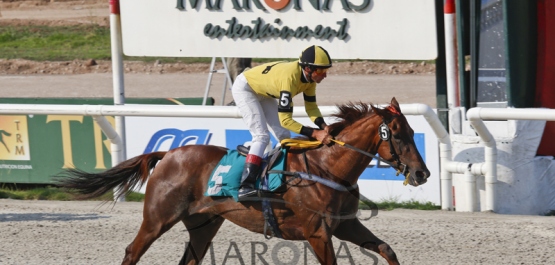 Viernes 23 de diciembre de 2016 - Hipódromo Nacional de Maroñas