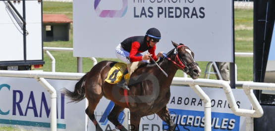 Jueves 29 de diciembre de 2016 - Hipódromo Las Piedras