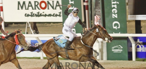 Viernes 6 de enero de 2017 - Hipódromo Nacional de Maroñas