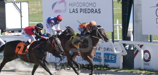 Sábado 7 de enero de 2017 - Hipódromo Las Piedras