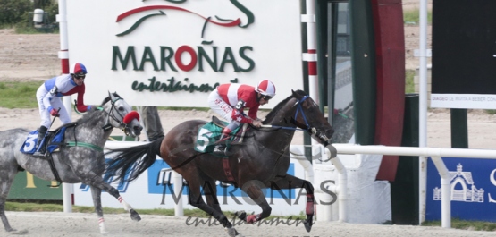 Domingo 8 de enero de 2017 - Hipódromo Nacional de Maroñas