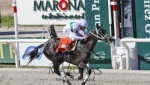 Gran Premio Cuidad de Montevideo (G1) - Presidente Jorge Batlle - Copa Codere