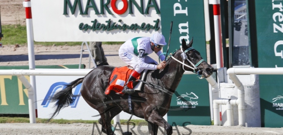 Gran Premio Cuidad de Montevideo (G1) - Presidente Jorge Batlle - Copa Codere