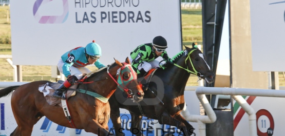 Gran Premio Polla de Potrillos