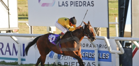 Gran Premio Polla de Potrancas