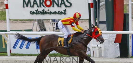 Domingo 15 de enero de 2017 - Hipódromo Nacional de Maroñas