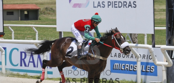 Domingo 22 de enero de 2017 - Hipódromo Las Piedras