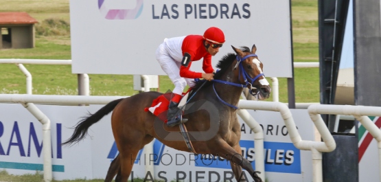 Premio: Jorge A. Píriz (1° Estadística 2016 Cuidadores)