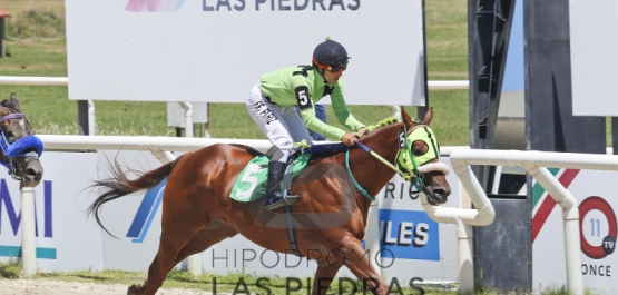 Sábado 28 de enero de 2017 - Hipódromo Las Piedras