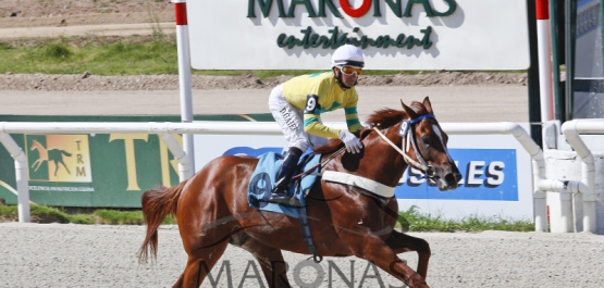 Domingo 29 de enero de 2017 - Hipódromo Nacional de Maroñas