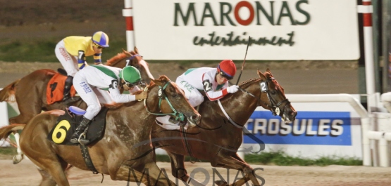 CLÁSICO FRANCISCO Y ALBERTO MILIA