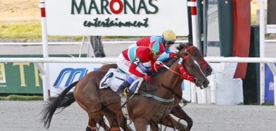 Viernes 3 de febrero de 2017 - Hipódromo Nacional de Maroñas