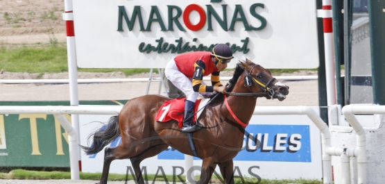 Sábado 4 de febrero de 2017 - Hipódromo Nacional de Maroñas